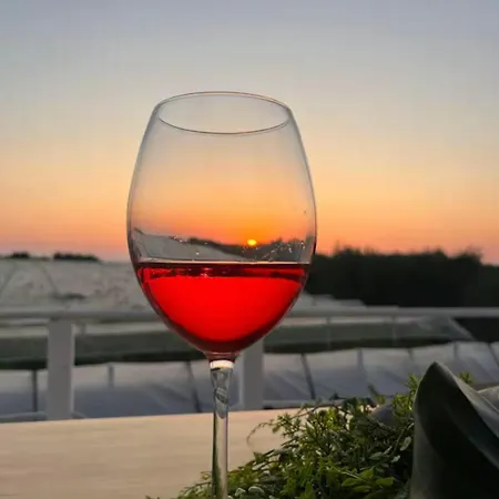 Parque de Campismo Bubble World Wild *