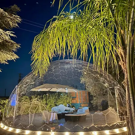 Bubble World Wild * Adelfia