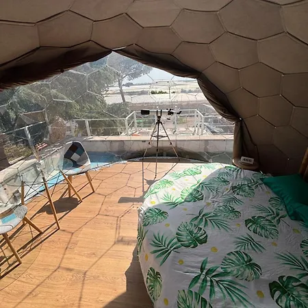 Bubble World Wild Adelfia