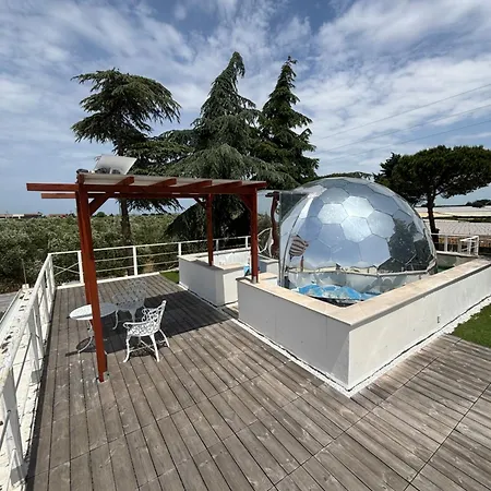 Bubble World Wild * Adelfia